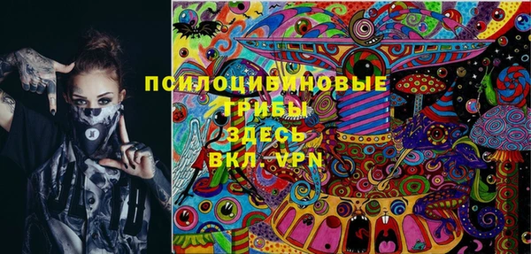 ГАЛЛЮЦИНОГЕННЫЕ ГРИБЫ Балабаново