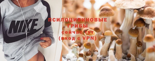 стаф Армянск