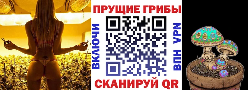 Галлюциногенные грибы прущие грибы Поронайск